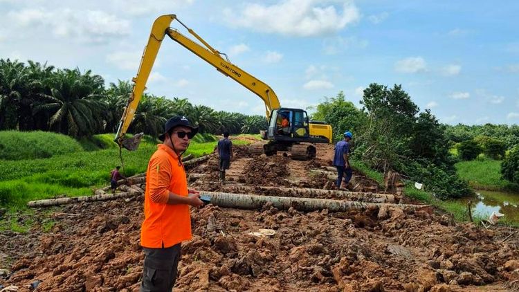 Mitigasi Risiko Menghadapi Musim Hujan, Agrinas Palma Nusantara Percepat Rehabilitasi Infrastruktur Pengendali Banjir di Kebun Riau